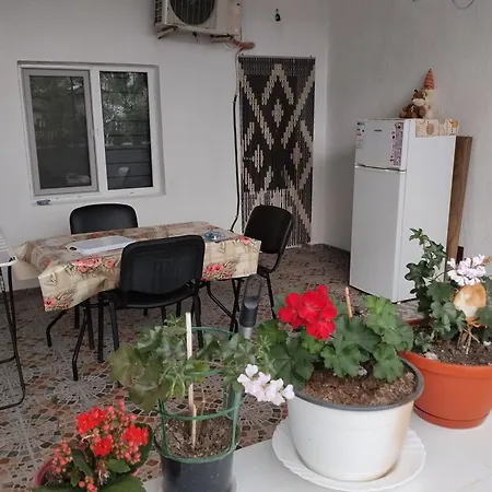 Casa Diana Guest house Eforie Nord